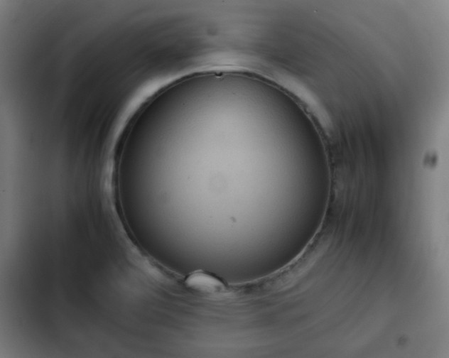X0000103131472200808291305
