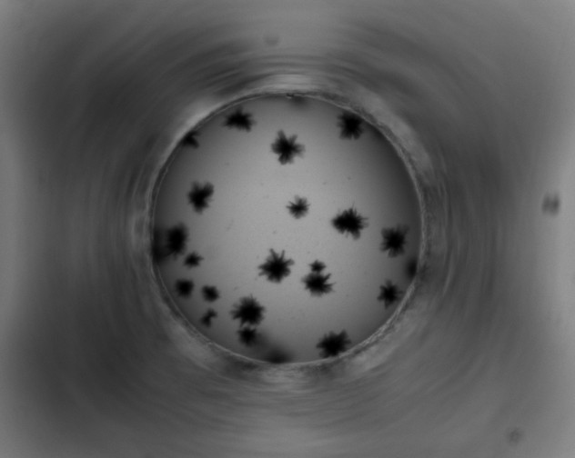 X0000103131473200808291305