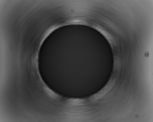 X0000103131474200808291305