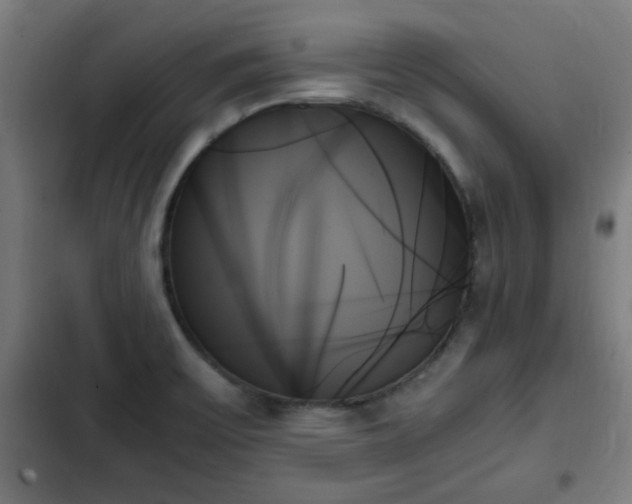 X0000103131475200808291305