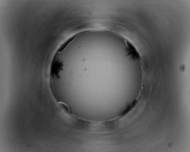 X0000103131477200808291305