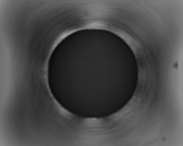 X0000103131478200808291305