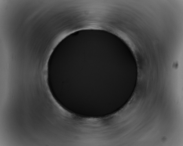 X0000103131479200808291305