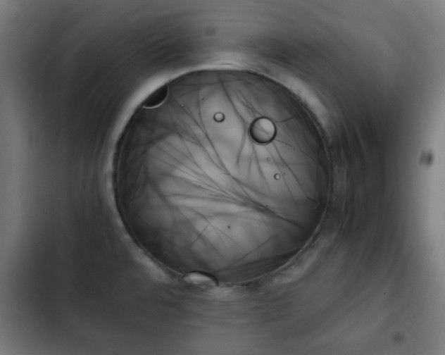 X0000103131480200808291305