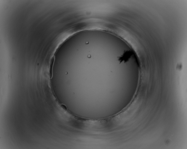 X0000103131481200808291305