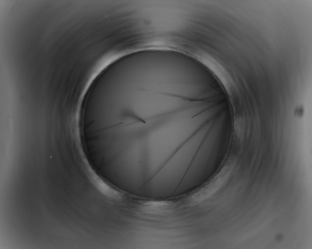 X0000103131482200808291305