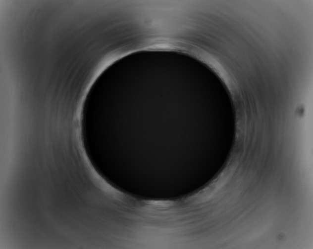 X0000103131483200808291305