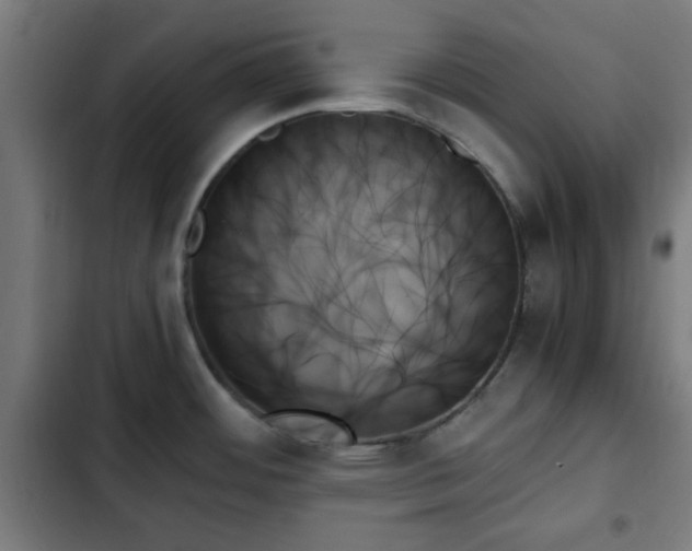 X0000103131484200808291305