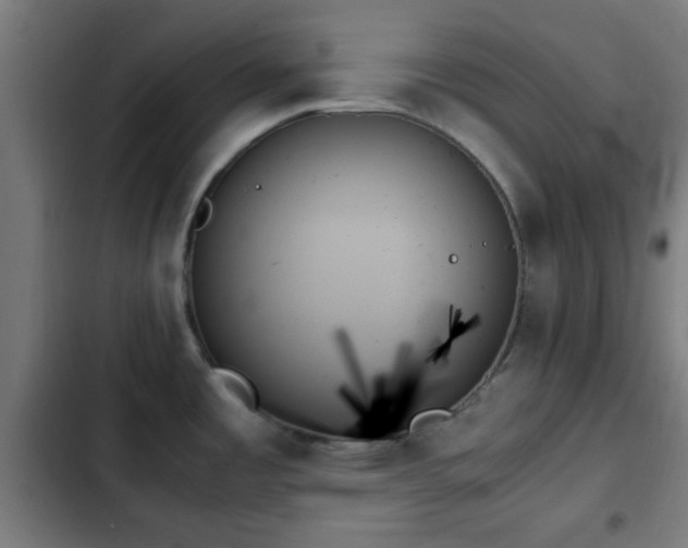 X0000103131485200808291305
