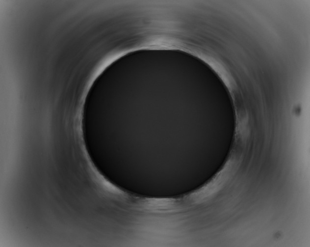 X0000103131486200808291304