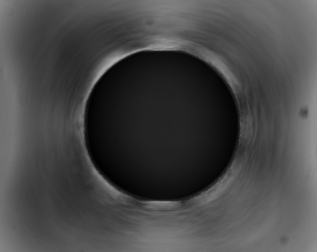 X0000103131487200808291304