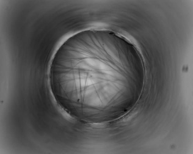X0000103131488200808291304