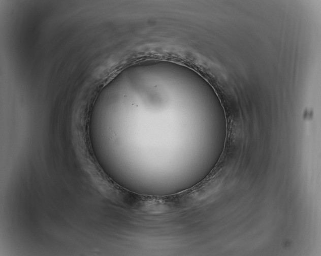 X0000103131489200808291304