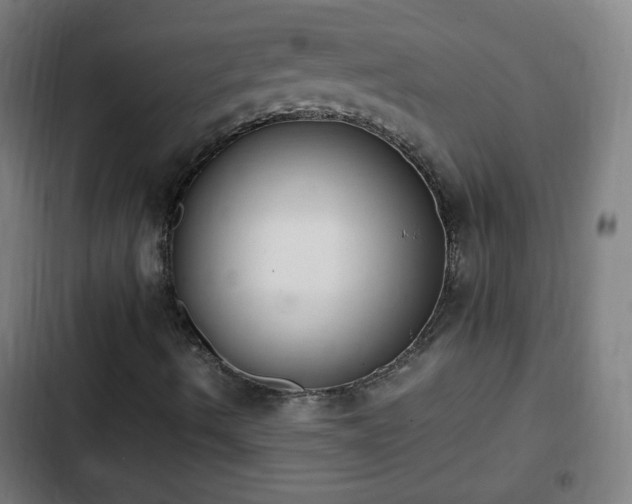X0000103131490200808291304