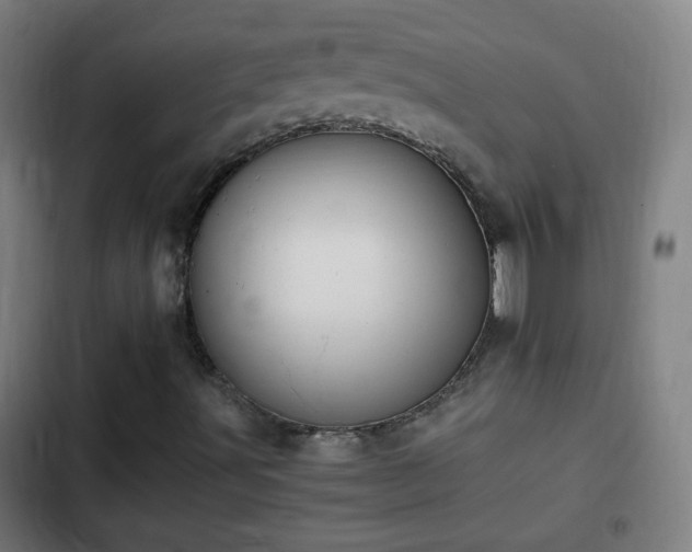 X0000103131491200808291304