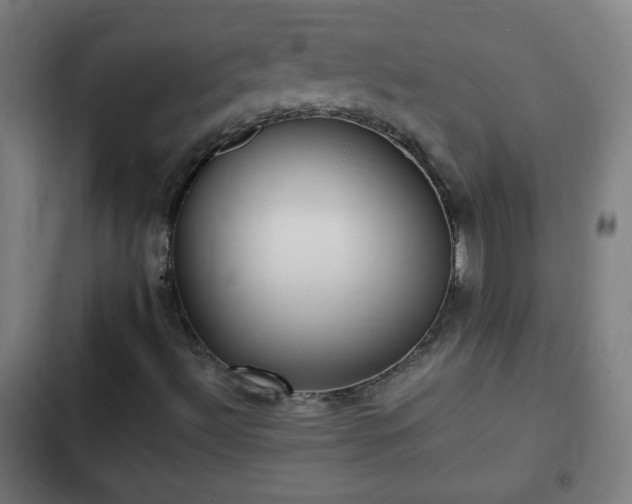 X0000103131492200808291304
