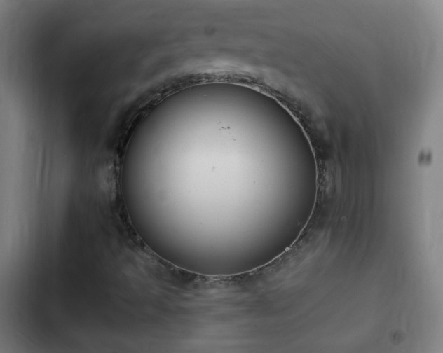 X0000103131493200808291304