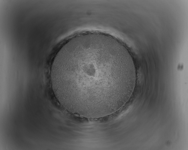 X0000103131494200808291304