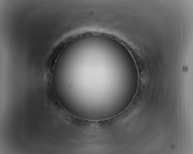 X0000103131495200808291304