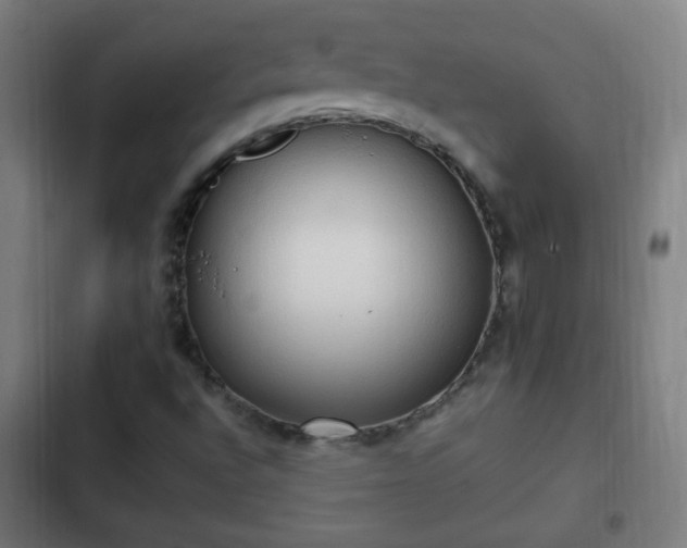 X0000103131496200808291304