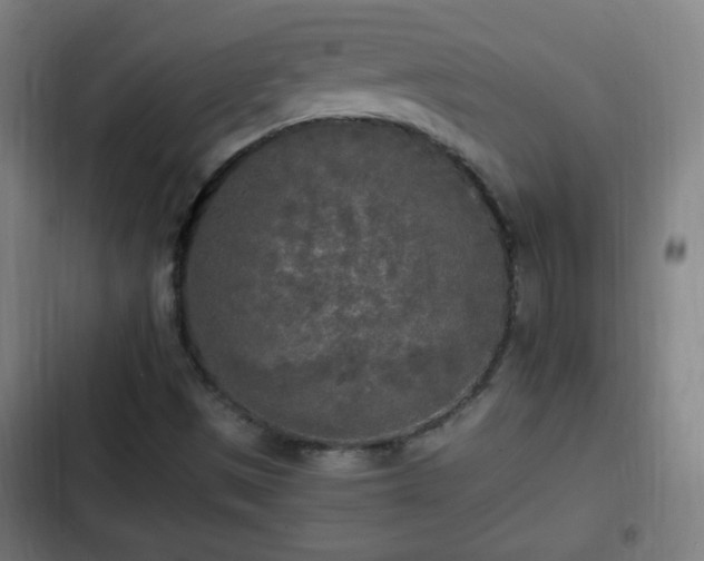 X0000103131497200808291304