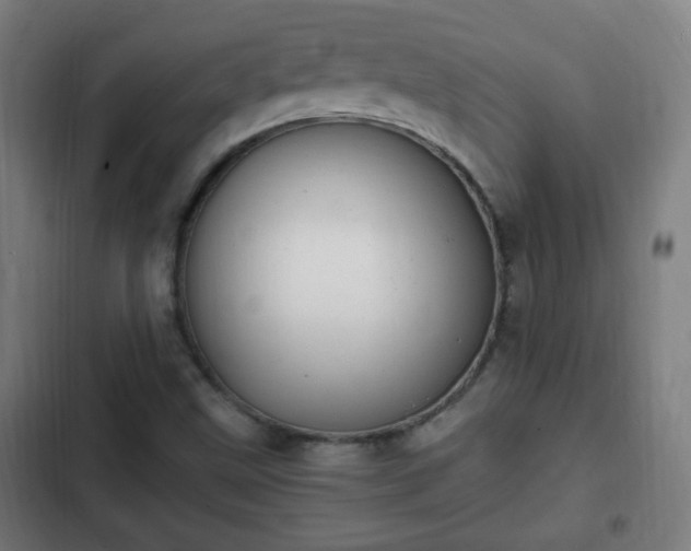 X0000103131499200808291304