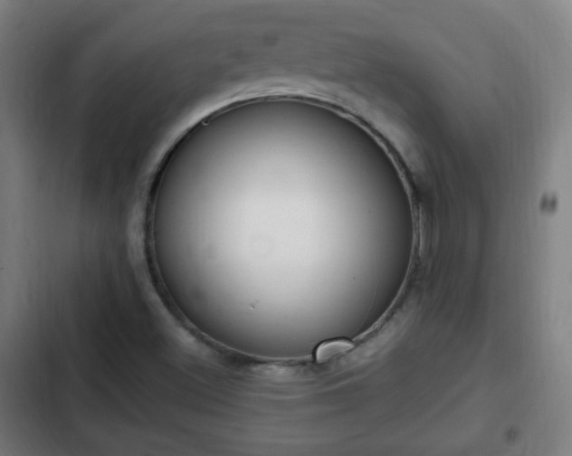 X0000103131500200808291304
