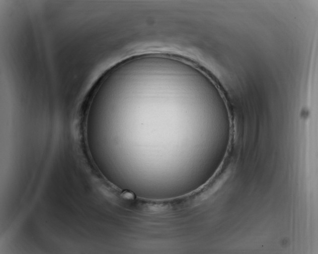 X0000103131501200808291304