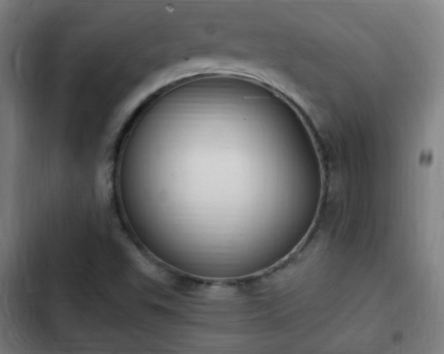 X0000103131503200808291304