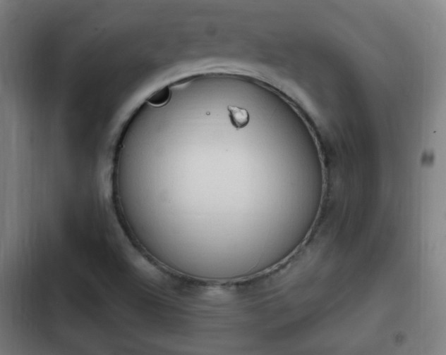 X0000103131504200808291304
