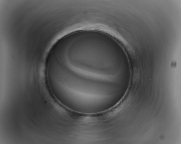 X0000103131506200808291304