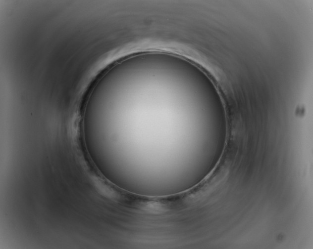 X0000103131507200808291304