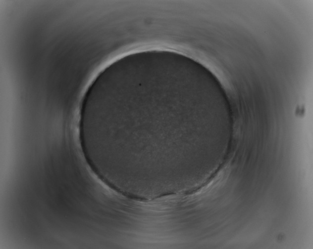 X0000103131508200808291304