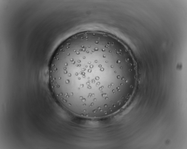 X0000103131509200808291304