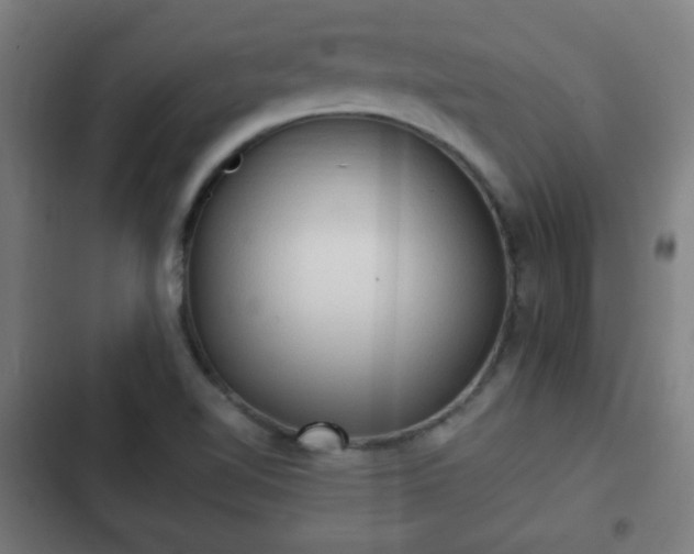 X0000103131510200808291304
