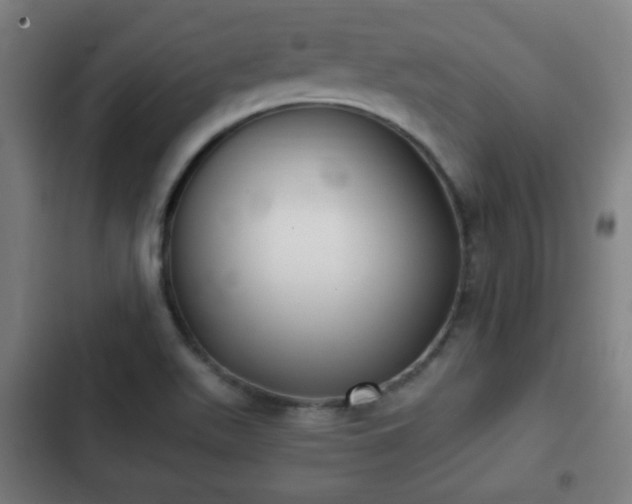 X0000103131511200808291304