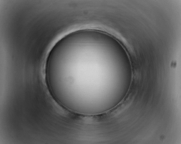 X0000103131512200808291304