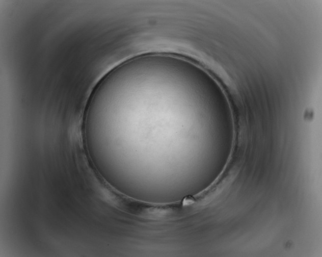 X0000103131513200808291304