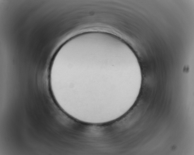 X0000103131514200808291304