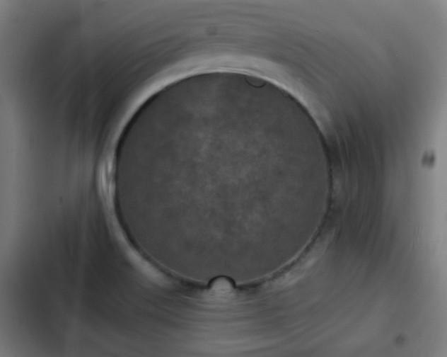 X0000103131515200808291304