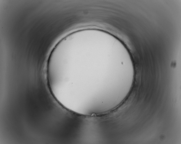 X0000103131516200808291304