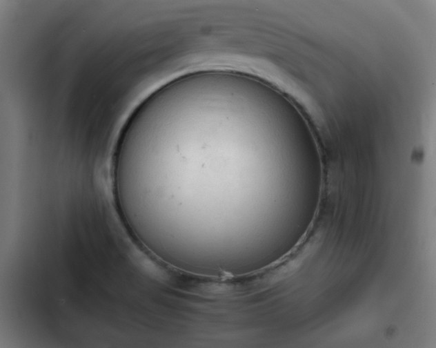 X0000103131517200808291304
