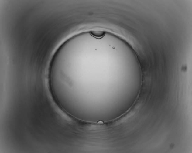 X0000103131518200808291304