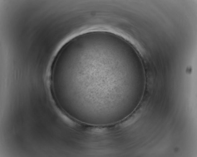 X0000103131519200808291304