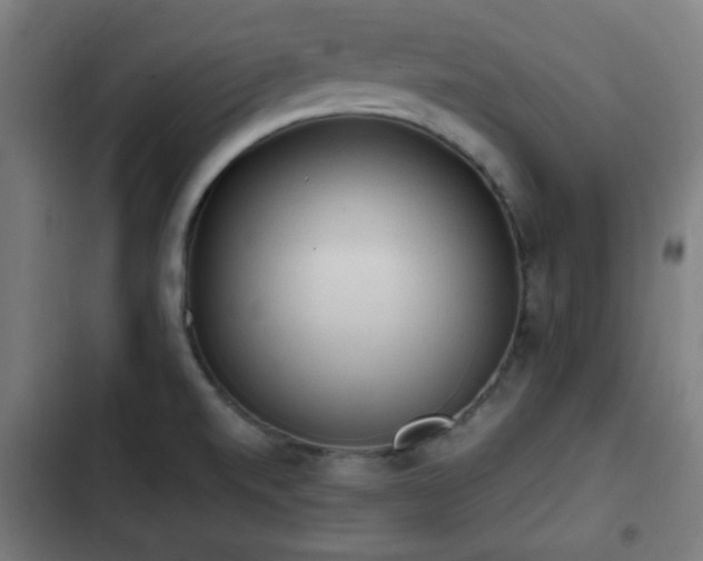 X0000103131520200808291304