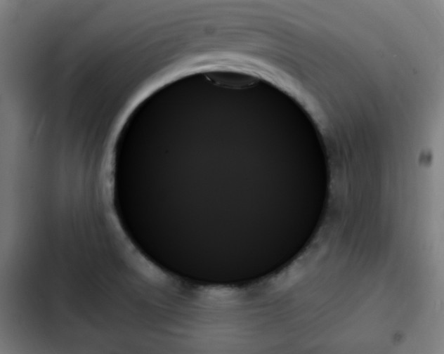 X0000103131522200808291304