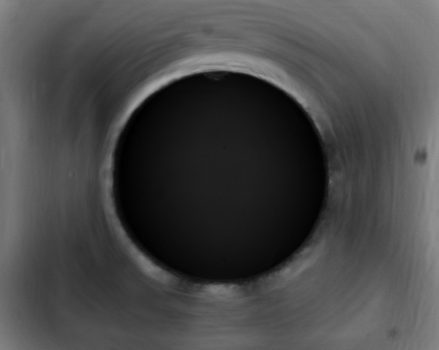 X0000103131523200808291304