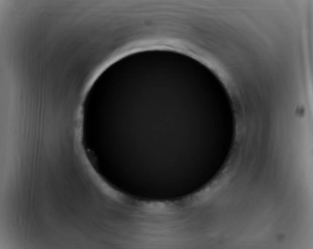 X0000103131524200808291304