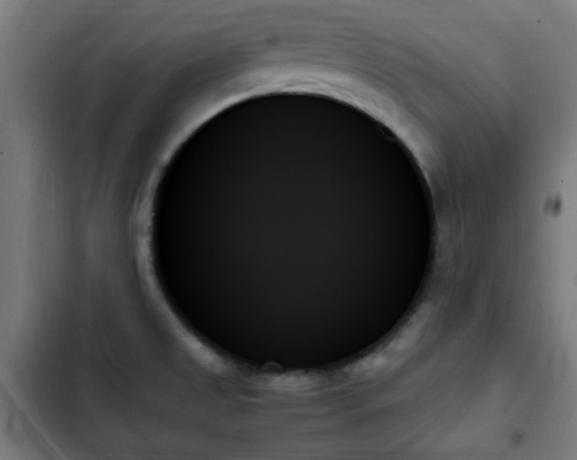 X0000103131525200808291304