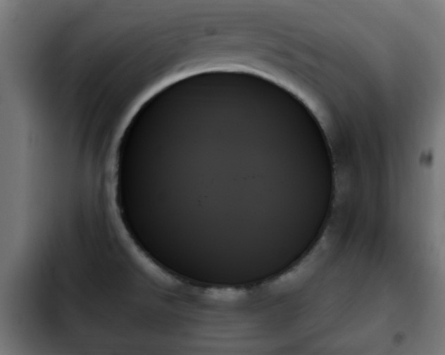 X0000103131526200808291304